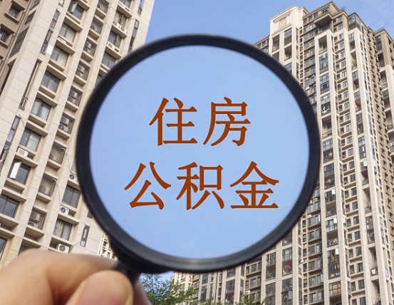 洛阳北京2025公积金新规（洛阳北京出台公积金新政）
